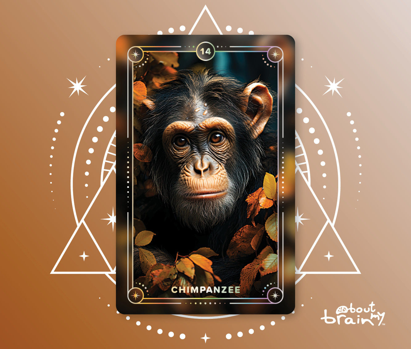 Chimpanzee | Meaning & Significance | Spirit Animals Oracle Deck