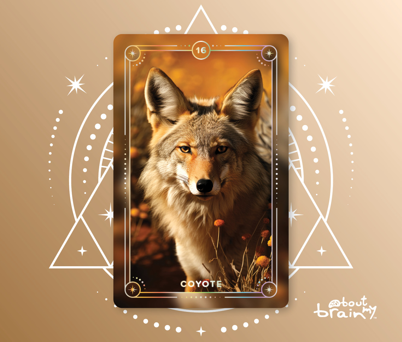 Banner Spirit Animals About My Brain Institute - Coyote