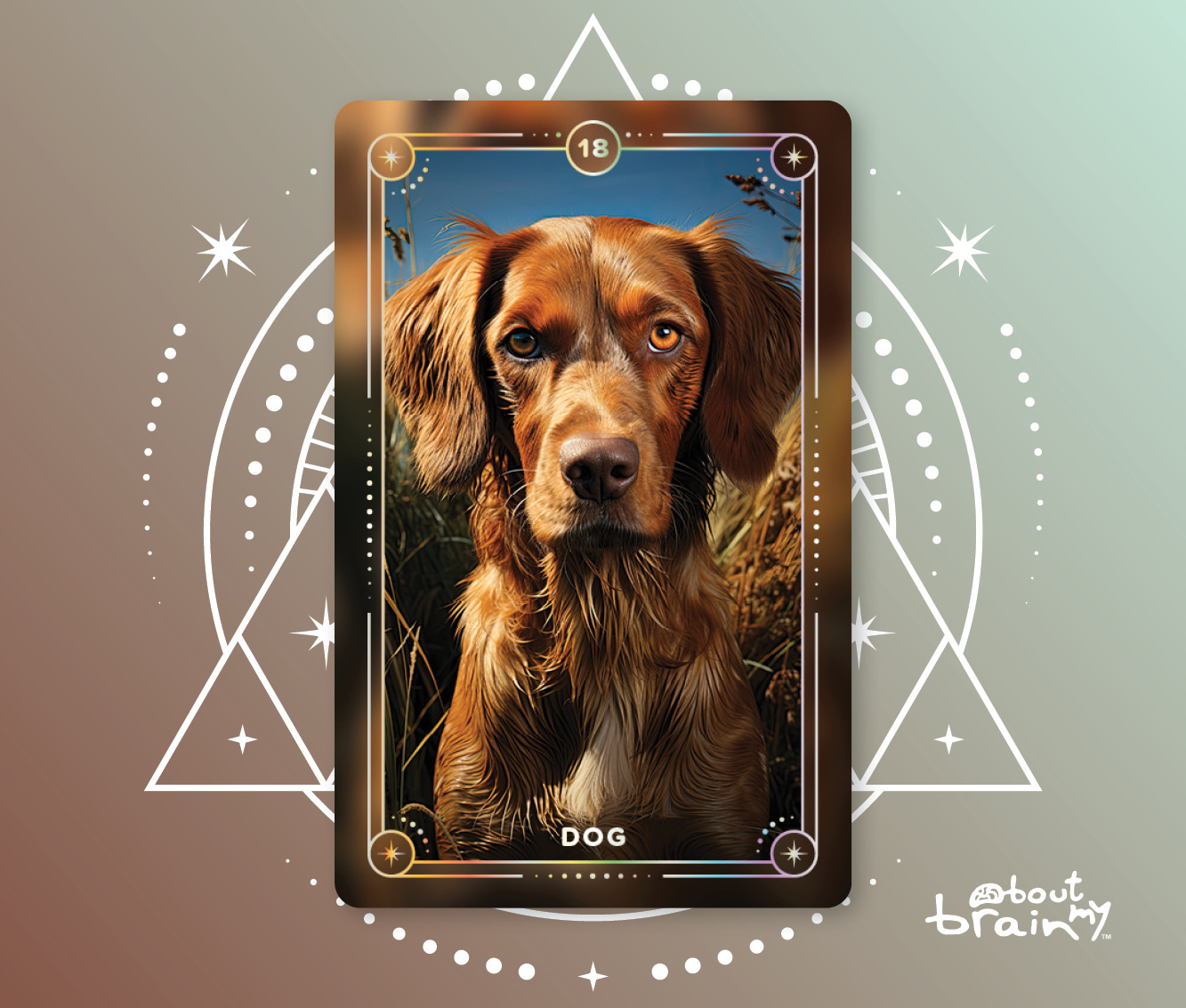 Banner Spirit Animals About My Brain Institute - Dog