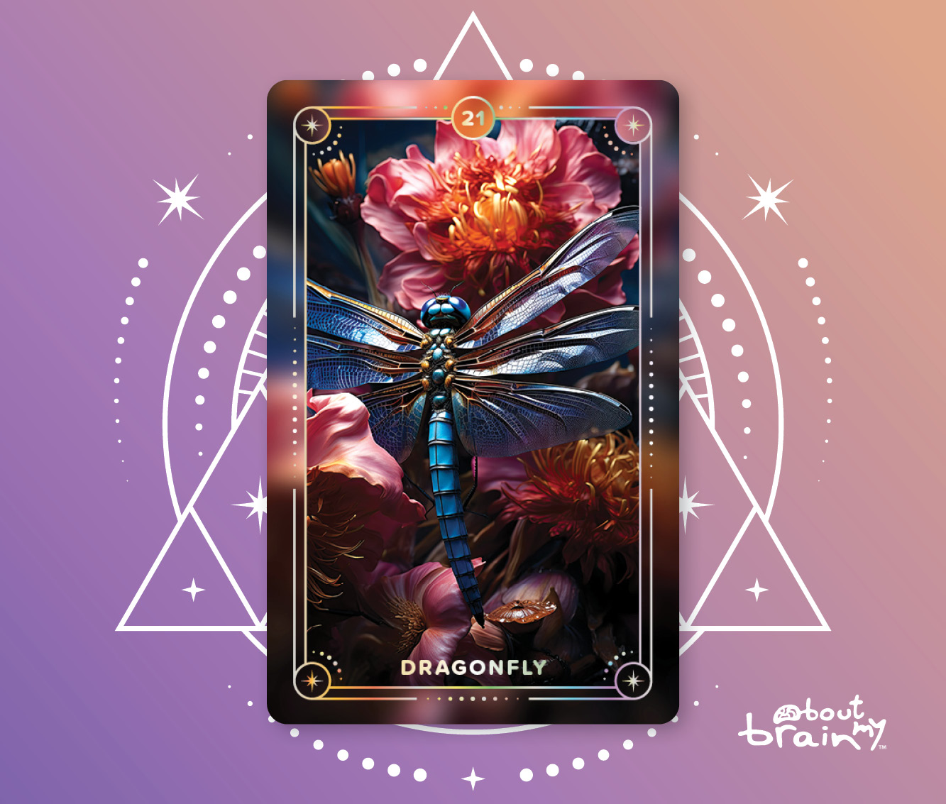 Banner Spirit Animals About My Brain Institute - Dragonfly