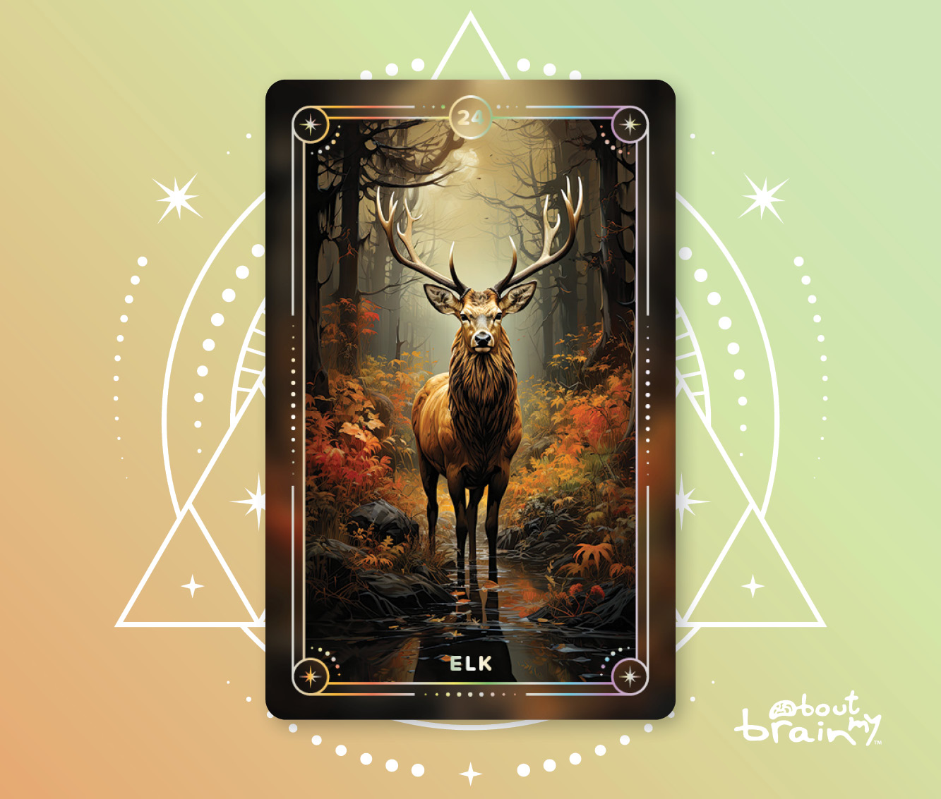 Banner Spirit Animals About My Brain Institute - Elk
