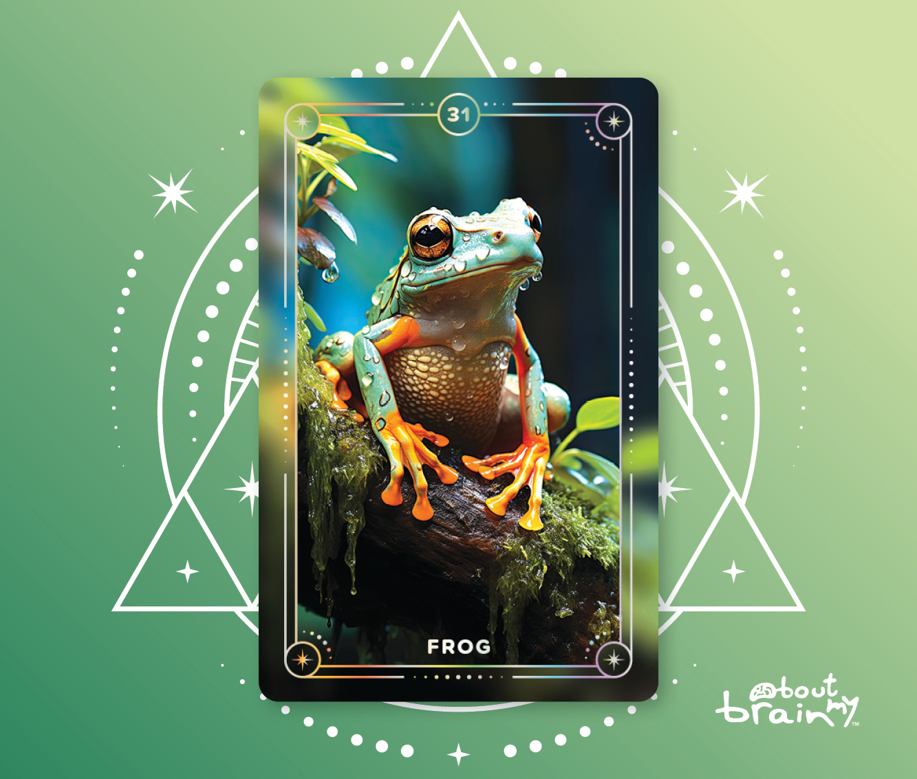 Banner Spirit Animals About My Brain Institute - Frog