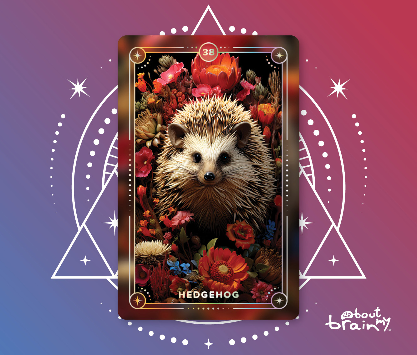 Hedgehog | Meaning & Significance | Spirit Animals Oracle Deck