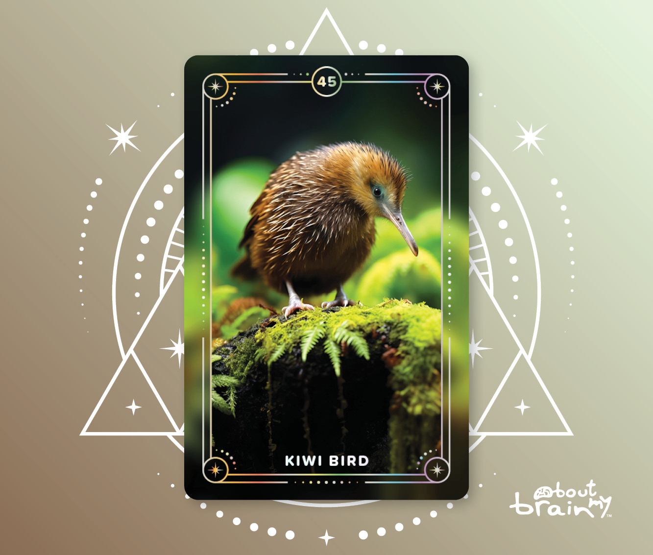 Banner Spirit Animals About My Brain Institute - Kiwi-Bird