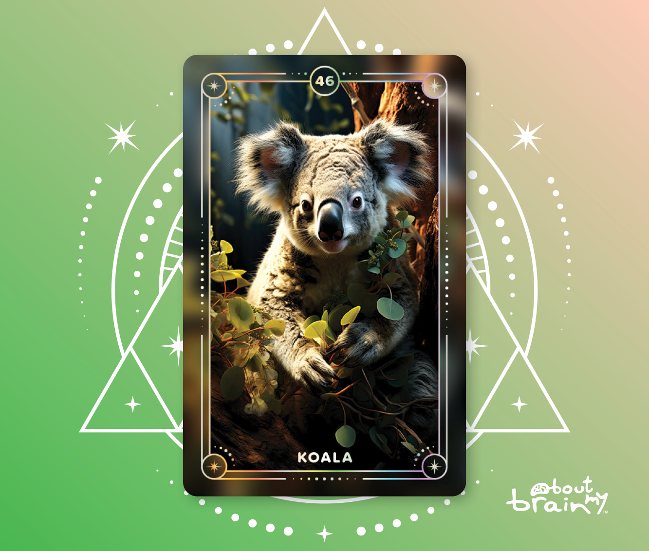 Banner Spirit Animals About My Brain Institute - Koala