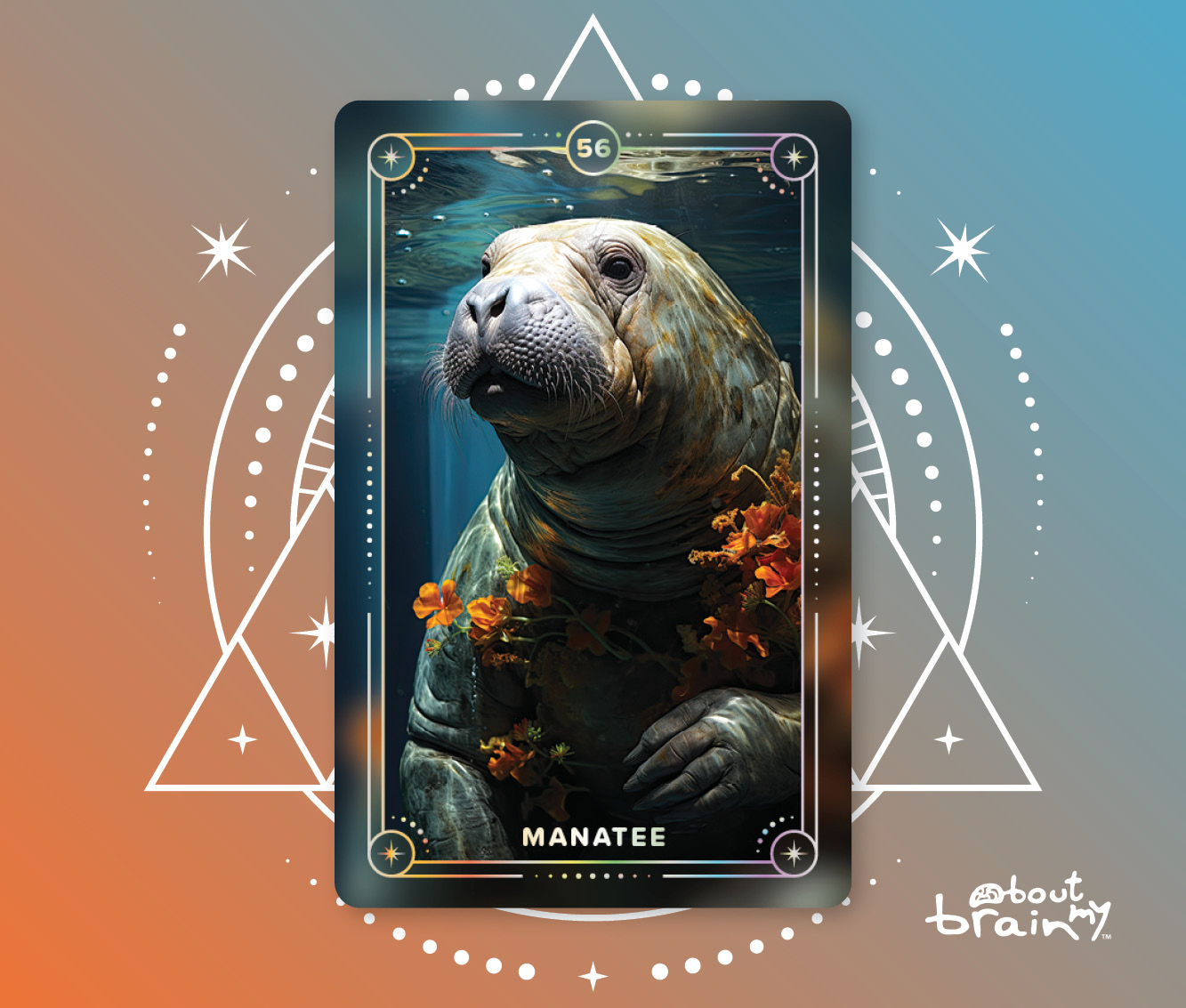 Banner Spirit Animals About My Brain Institute - Manatee