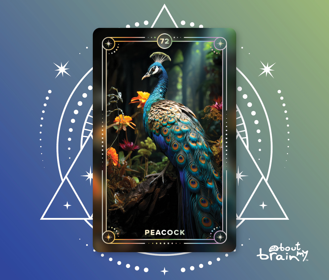 Banner Spirit Animals About My Brain Institute - Peacock