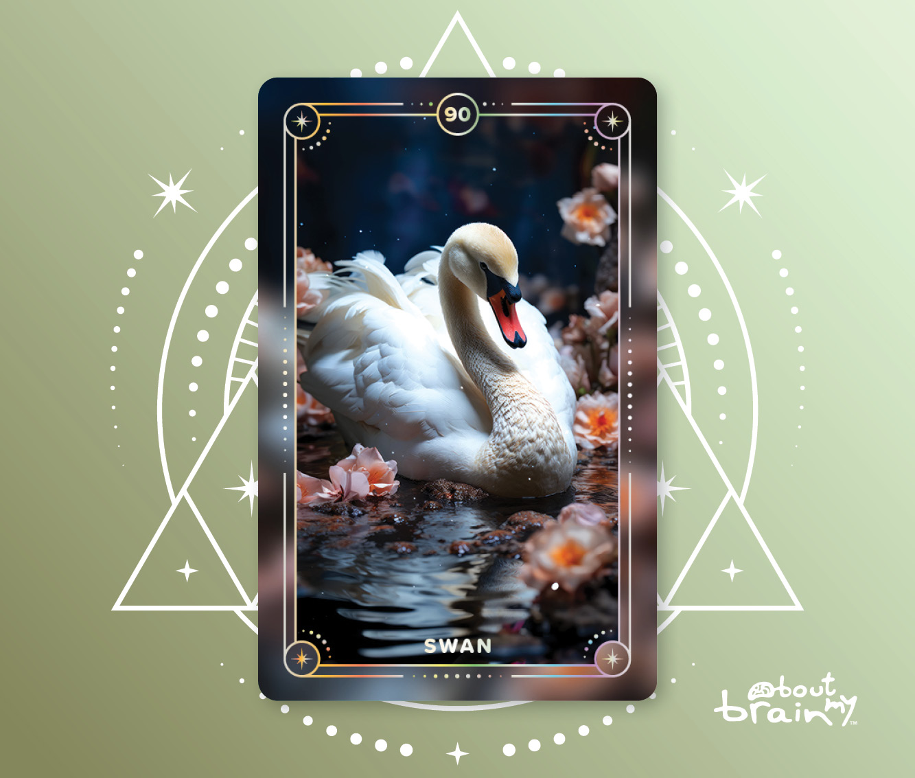 Banner Spirit Animals About My Brain Institute - Swan