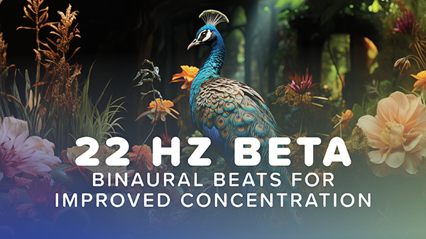 spirit-animals-oracle-cards-binaural-beats-72-1