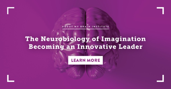 The Neurobiology of Imagination Becoming An Innovative Leader