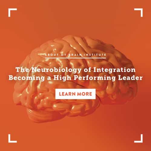 The Neurobiology Of Integration Becoming A High Performing Leader