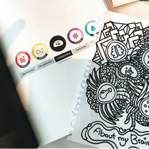 About my Brain Institute