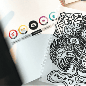 About my Brain Institute
