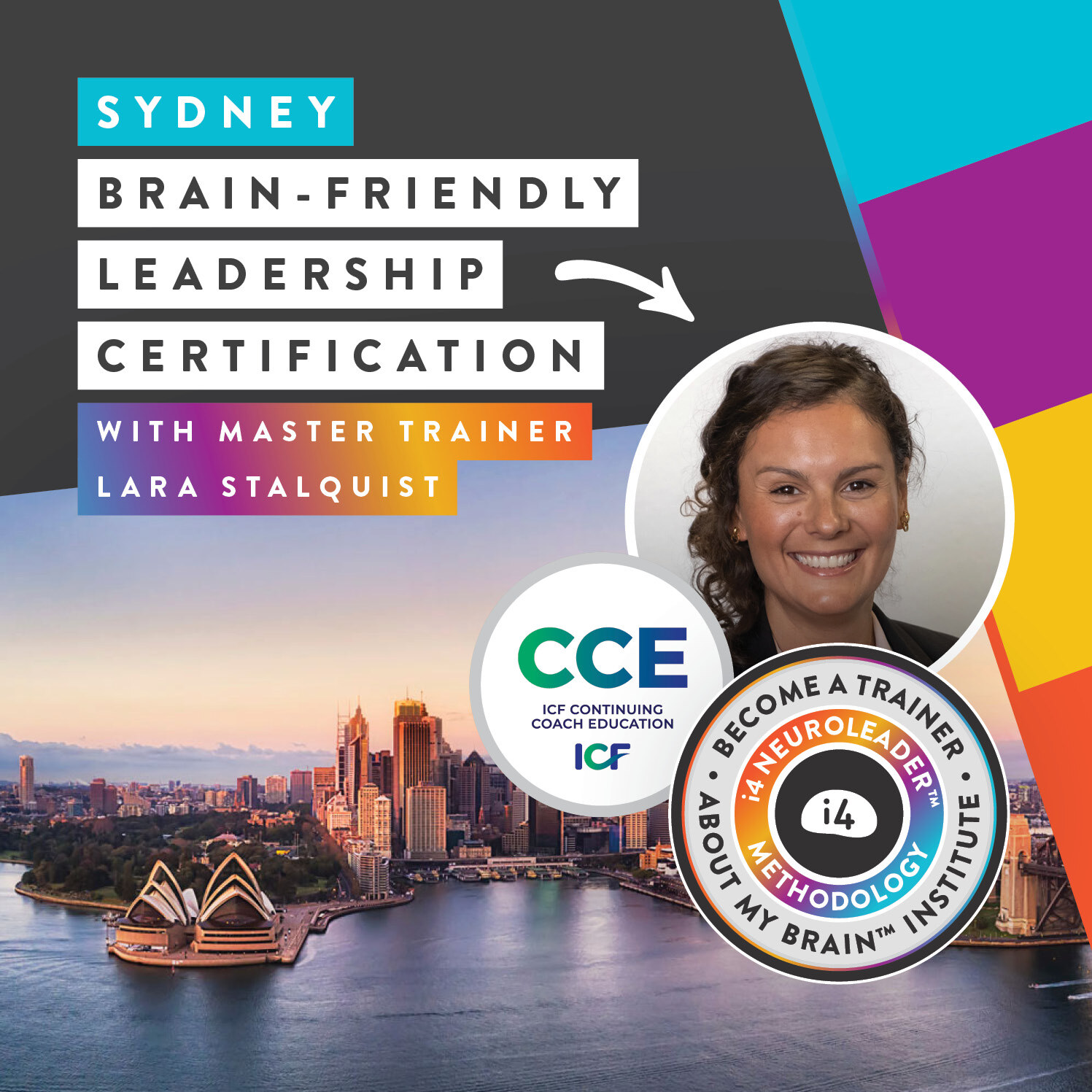 brain-friendly-leadership-certification-about-my-brain2