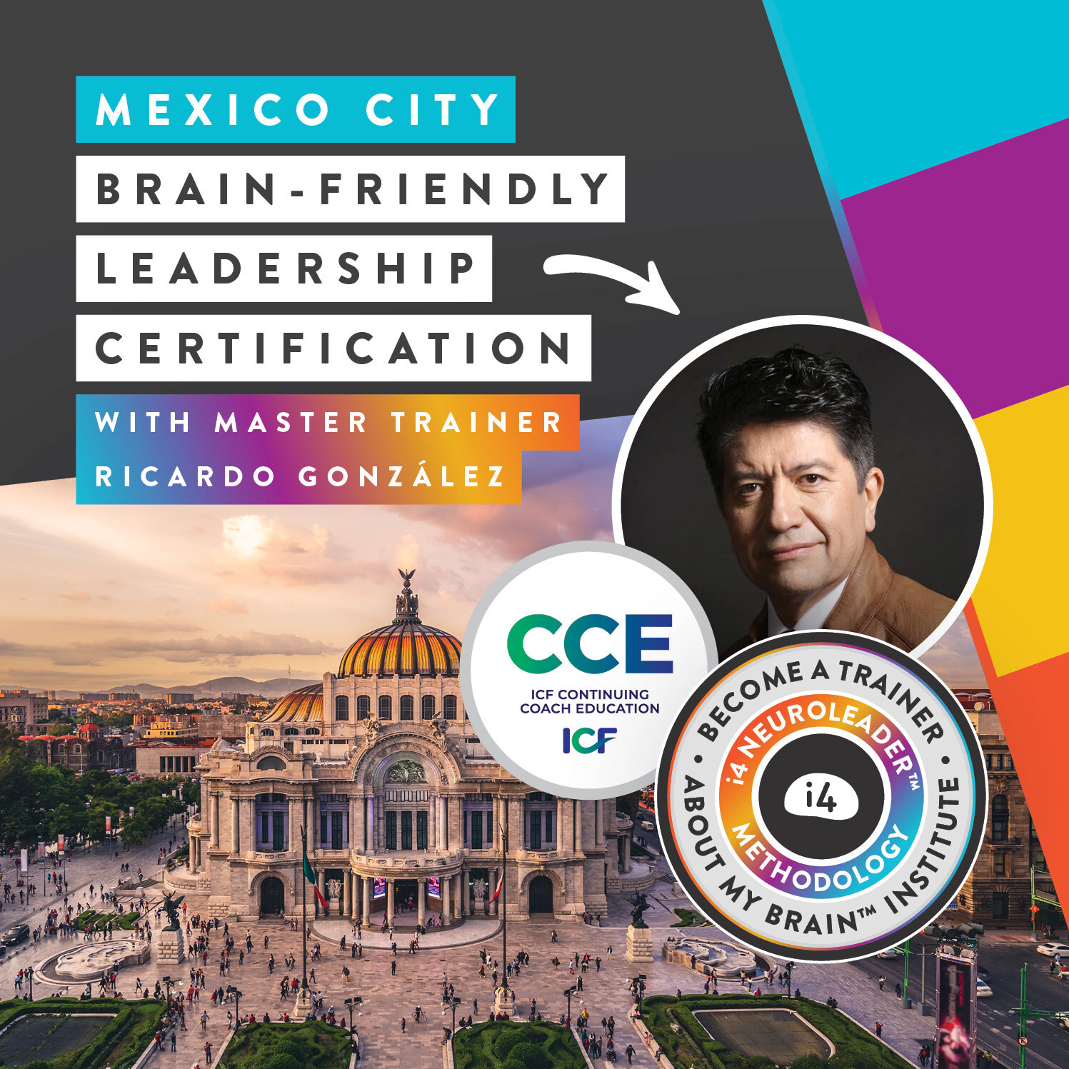 brain-friendly-leadership-certification-about-my-brain6