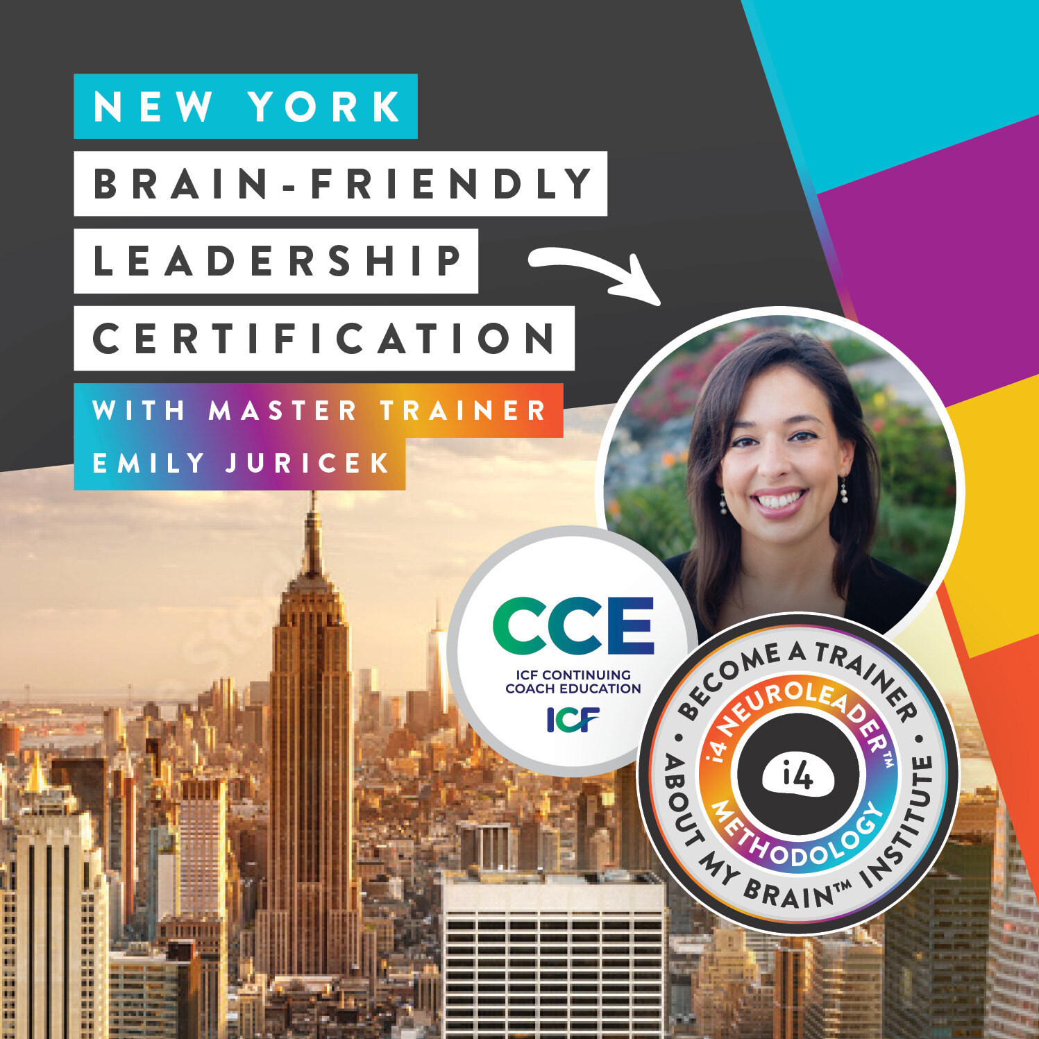 brain-friendly-leadership-certification-about-my-brain9