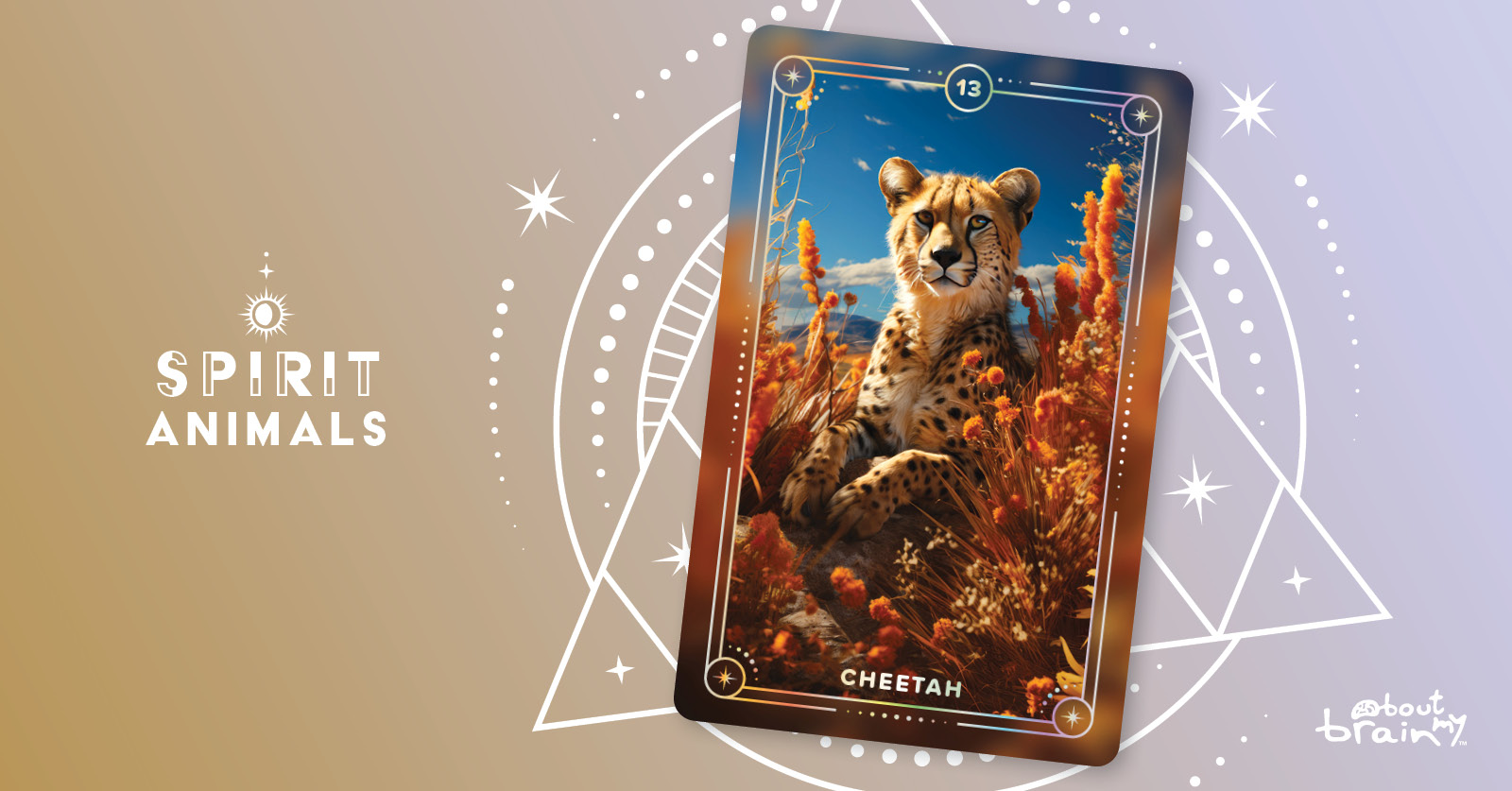 Cheetah | Meaning & Significance | Spirit Animals Oracle Deck