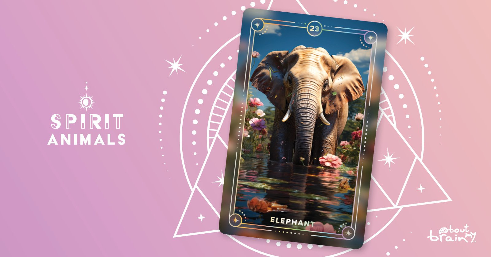 Elephant Meaning & Significance Spirit Animals Oracle Deck