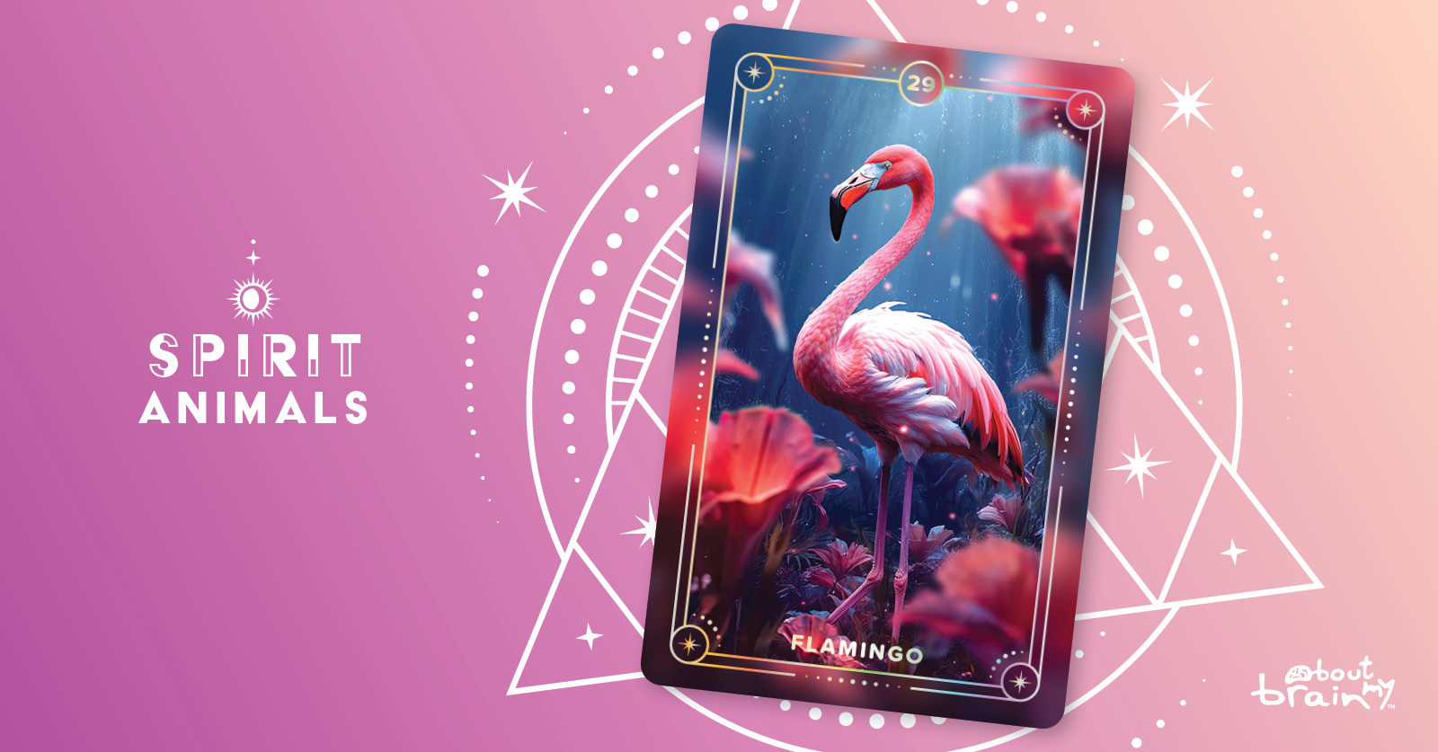 Flamingo Meaning & Significance Spirit Animals Oracle Deck