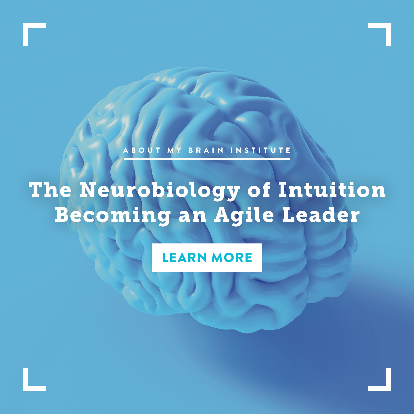TP 1080 X 1080-The-Neurobiology-Of-Intuition-Becoming-An-Agile-Leader
